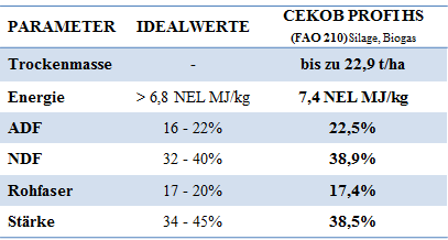 Mais Cekob-Tabelle-Ergebnisse-2017
