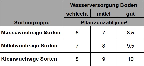 Pflanzendichte Mais Sortengruppe