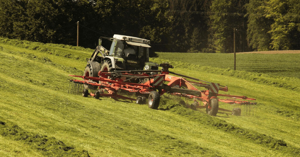 Gras Ernte