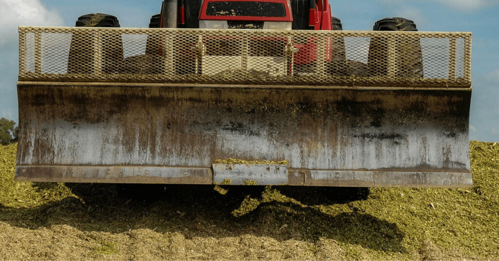 Maissilage